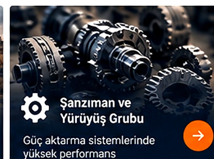 TCM Şanzıman Dişlisi